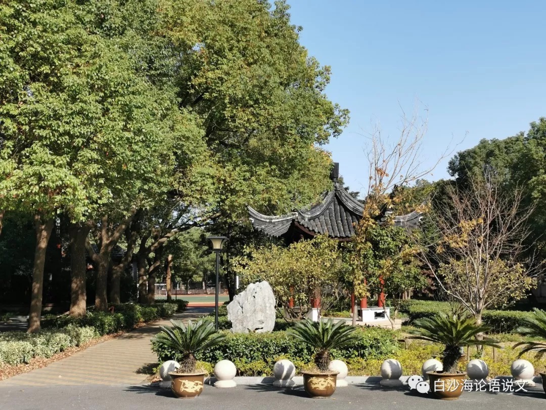 校园星河20：秀州中学校友钦俊德院士：一笔一画见深情文2.jpg