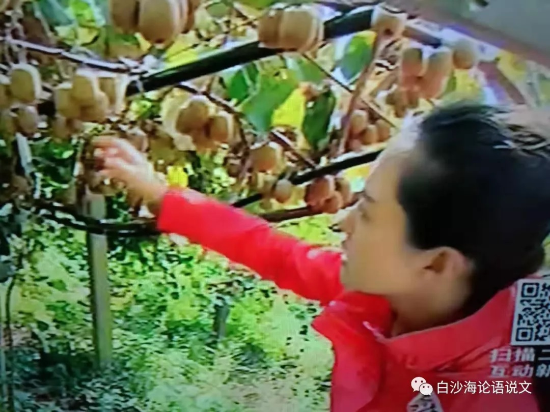校园星河28：新华社洛杉矶分社记者校友沈沉沉深深地鼓舞学弟学妹.jpg