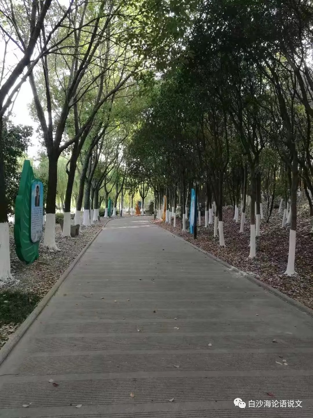 校园星河30：“仙人球”少年，从文学到法学9.jpg