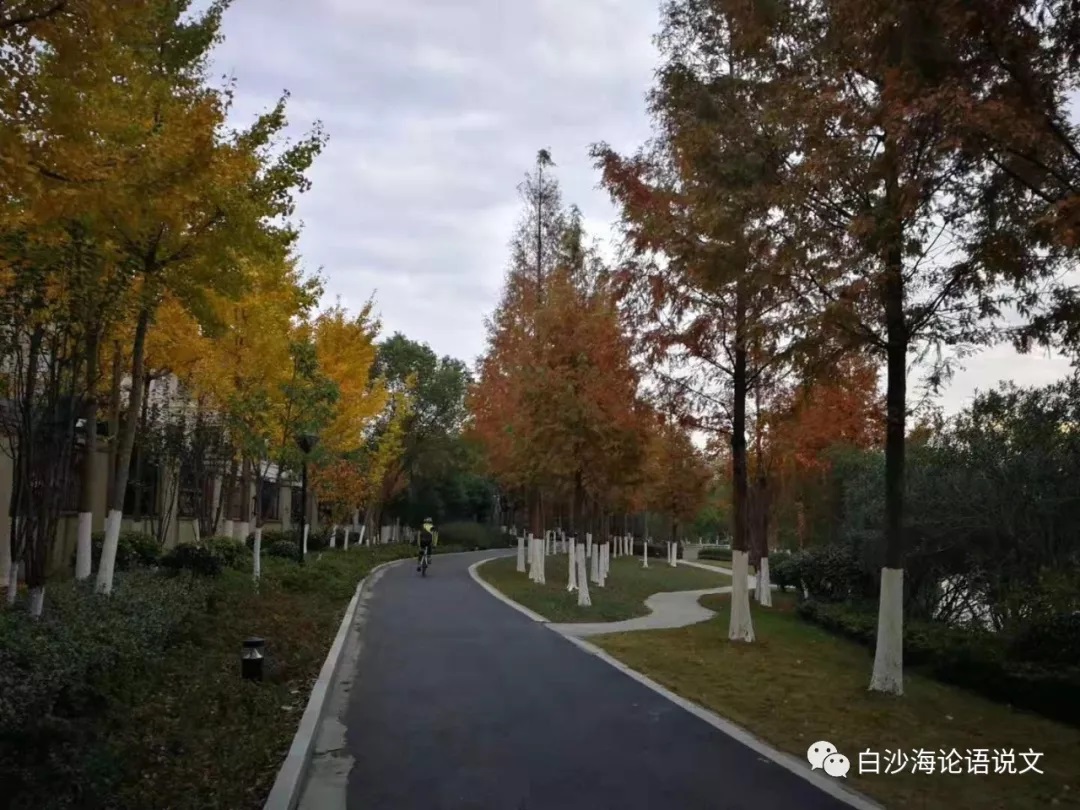 校园星河39：1989年的感慨.jpg