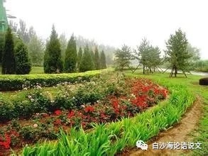 校园星河41：1994年的叶芳3.jpg