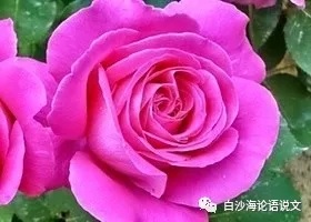 校园星河42：1994年的瑶妹.jpg