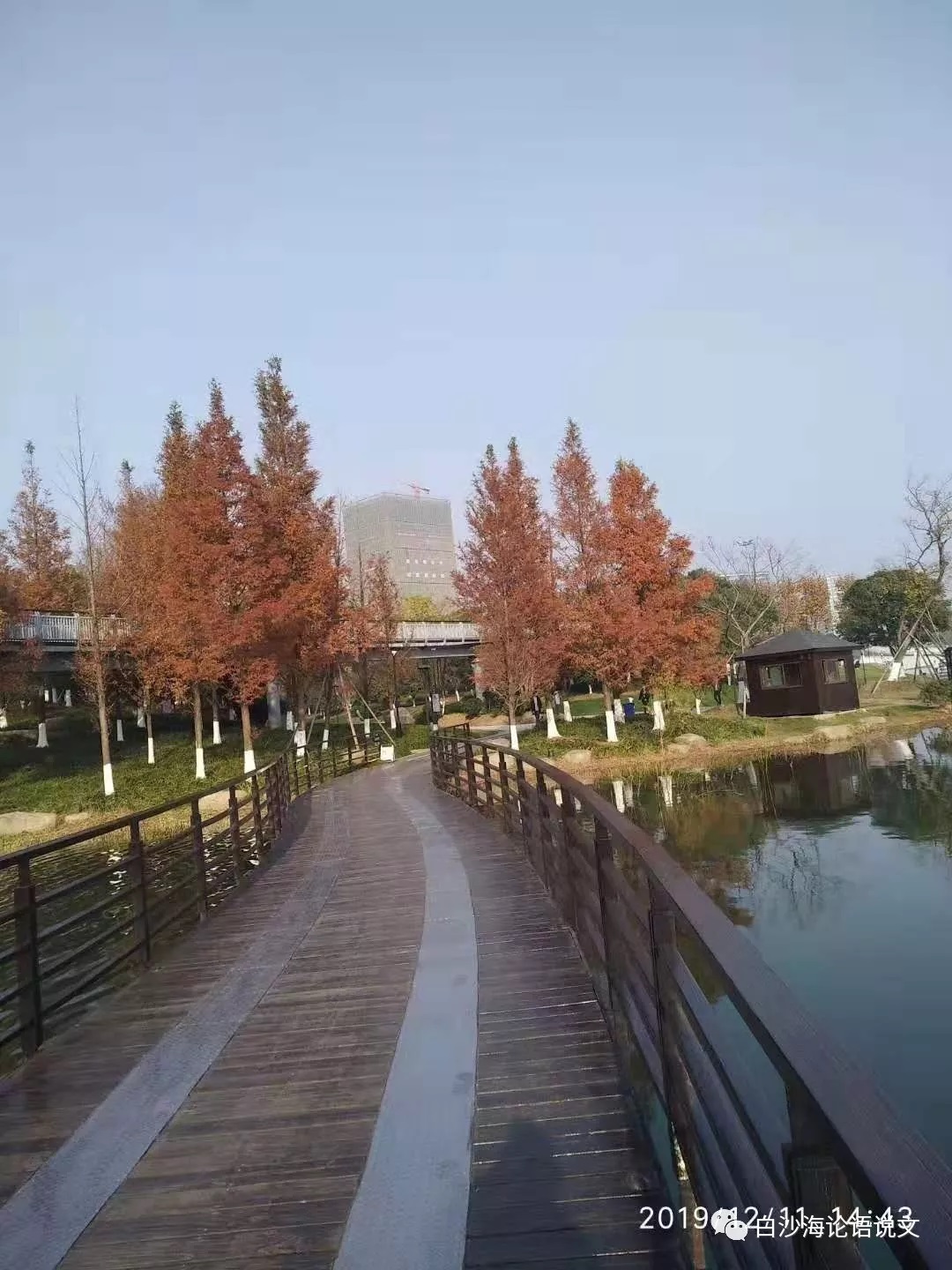 校园星河44：金大侠的小师妹王尔凝2.jpg