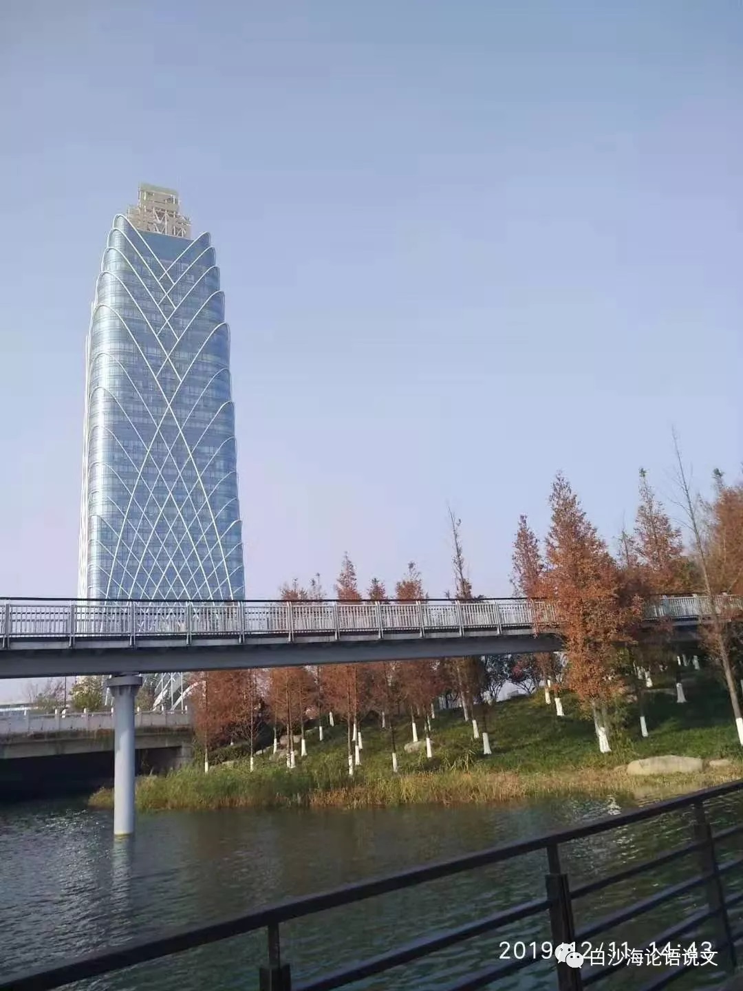 校园星河44：金大侠的小师妹王尔凝6.jpg