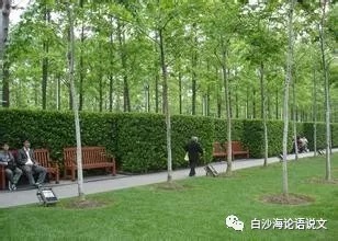 校园星河47：1993年的川勤2.jpg