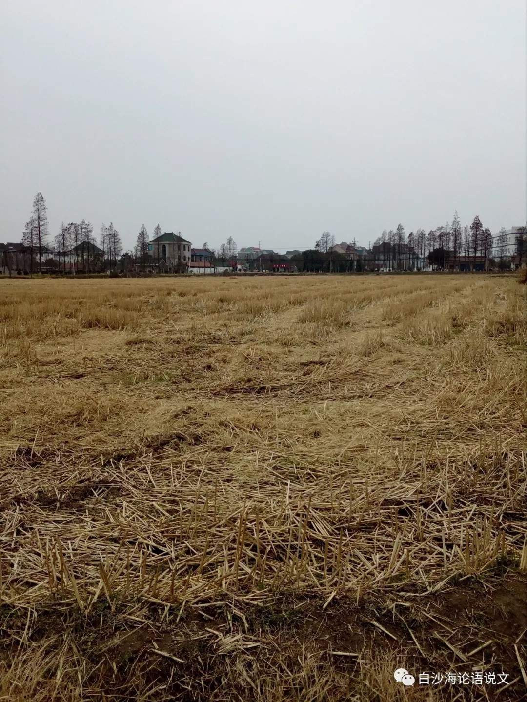 生活启示2：空心村纪行.jpg