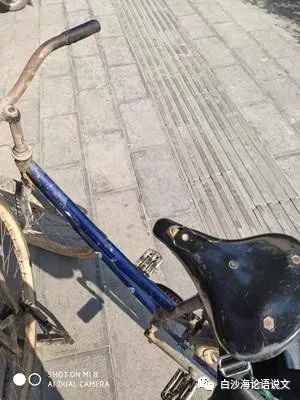 生活启示录9：逆行弱女甘如意4.jpg