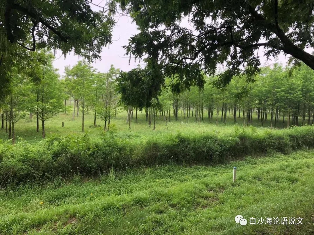 考试体作文：因材缀文1：我看乡村重振兴.jpg