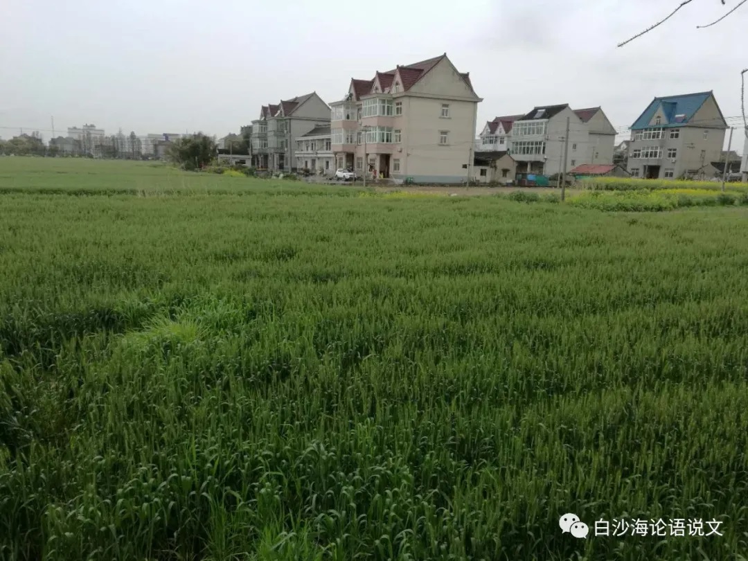 考试体作文：因材缀文1：我看乡村重振兴2.jpg