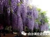 考试体作文：因材缀文5：新时代新青年（论命意作文要紧扣题意）2.jpg