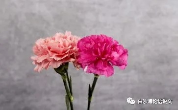思维魔方（主题思辨）13：人际交往以礼相待人际交往情重于礼3.jpg