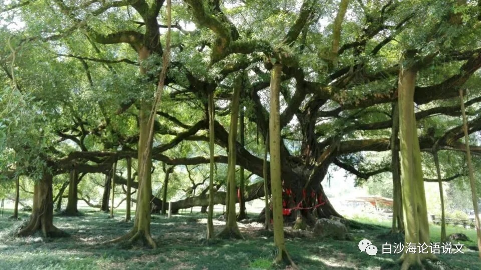 思维魔方（主题思辨）15：谦虚是做人应有的态度3.jpg